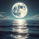 Terveys Kuun rytmeissä - kalenteri 2026